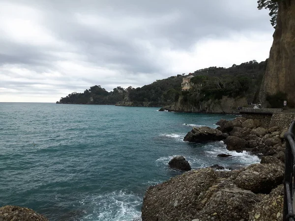 木といくつかの美しい波ある緑灰色の空とリグーリア州のポルトフィーノの海辺を歩く — ストック写真