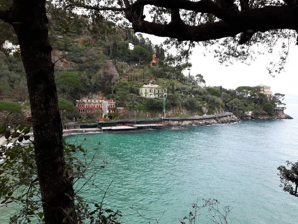 Paseando Por Costa Portofino Liguria Con Cielo Gris Algunos Árboles — Foto de Stock