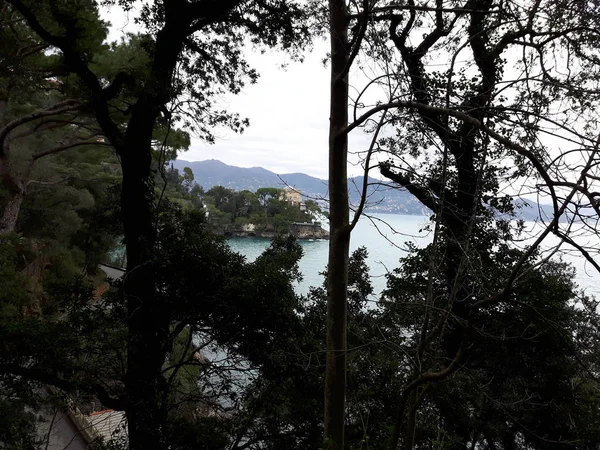 Walking Seaside Portofino Liguria Grey Sky Some Green Trees Some — Stock Photo, Image