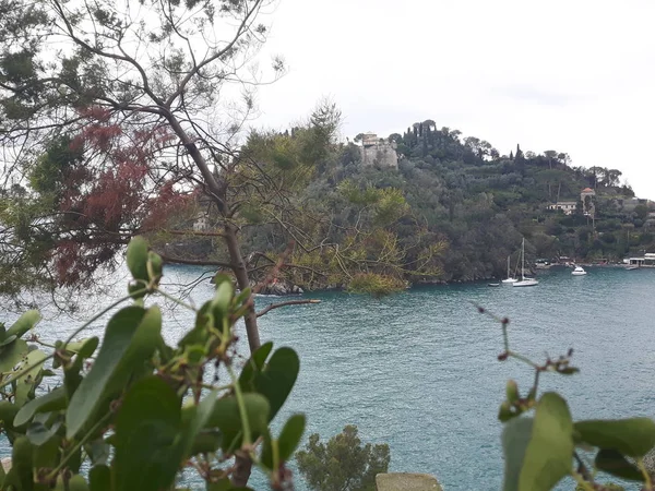 Paseando Por Costa Portofino Liguria Con Cielo Gris Algunos Árboles — Foto de Stock