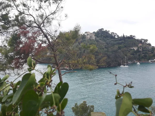 Paseando Por Costa Portofino Liguria Con Cielo Gris Algunos Árboles — Foto de Stock