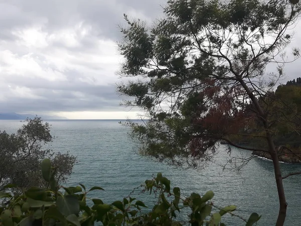 Paseando Por Costa Portofino Liguria Con Cielo Gris Algunos Árboles — Foto de Stock