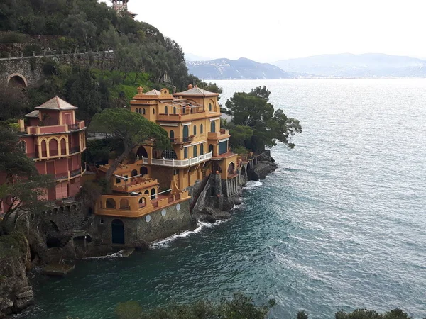 Procházky Pobřeží Portofina Ligurii Šedou Oblohu Některé Zelené Stromy Některé — Stock fotografie