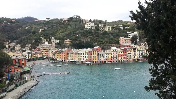 Procházky Pobřeží Portofina Ligurii Šedou Oblohu Některé Zelené Stromy Některé — Stock fotografie