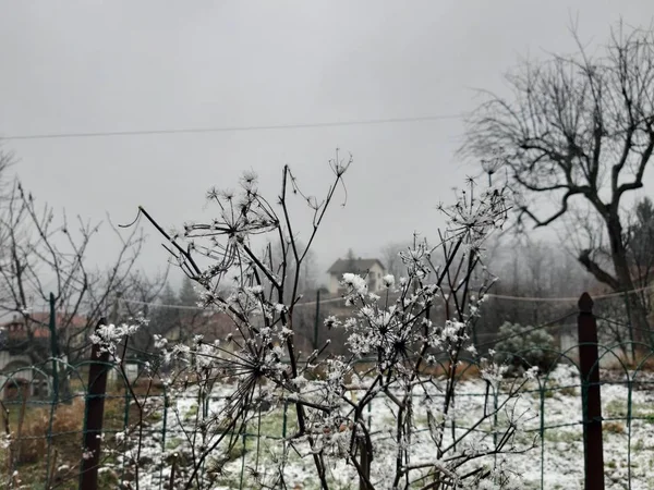 Tiglieto Italien 2019 Schöner Grauer Hintergrund Des Ersten Schnees Dorf — Stockfoto