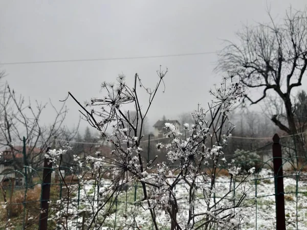 Tiglieto Italy 2019 Beautiful Grey Background First Snow Village Winter — Stock Photo, Image