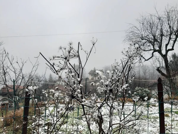 Tiglieto Italien 2019 Schöner Grauer Hintergrund Des Ersten Schnees Dorf — Stockfoto