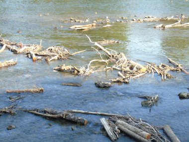 Torino, İtalya - 08/12/2018: şehir, Torino İtalya'dan yaz günlerinde güzel Po Nehri Merkezi olmak üzere yüksek ve düşük bölümünden bir amazing fotoğraf