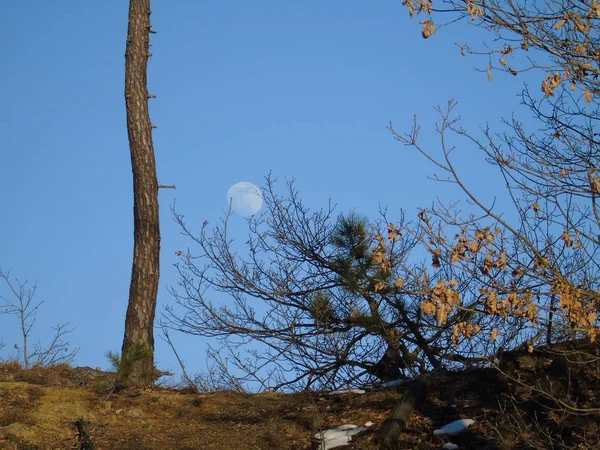 Ligurie Italie 2019 Une Photographie Étonnante Pleine Lune Dessus Des — Photo