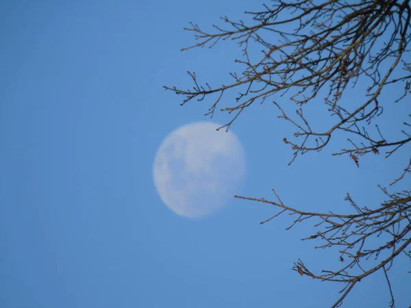 Liguria Italy 2019 Amazing Photography Full Moonlight Mountains Hidden Out — стоковое фото