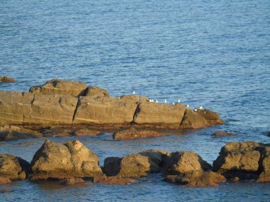 Genova, İtalya - 02/25/2019: bazı dalgalar ve Cenova şehir denize sıfır üzerinden günbatımı kış gün ve güneş tarafından renkli plaja yakın eski binalar için harika manzarası inanılmaz bir resim yazısı