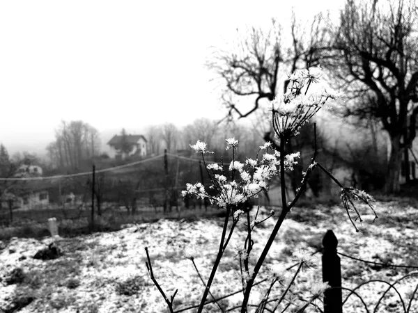 Tiglieto Italy 2019 Beautiful Grey Background First Snow Village Winter — Stock Photo, Image