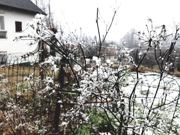 Tiglieto Włochy 2019 Piękne Szare Tło Pierwszym Śniegiem Miejscowości Zimą — Zdjęcie stockowe