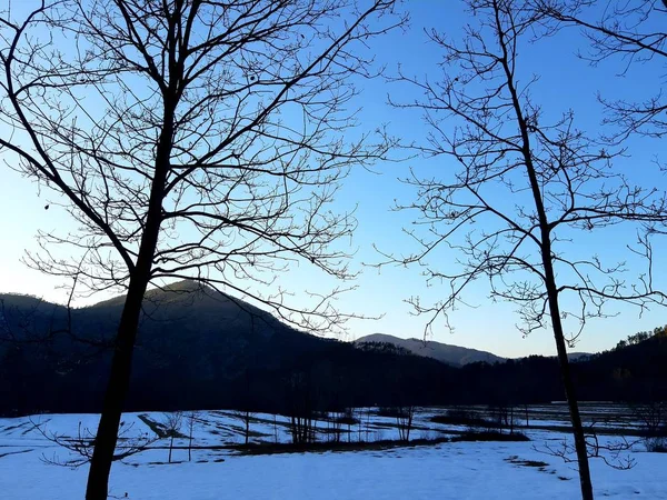 Tiglieto Itália 2019 Fundo Cinzento Bonito Primeira Neve Aldeia Inverno — Fotografia de Stock