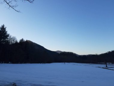 Tiglieto, İtalya - 03/22/2019: güzel mavi arka plan ile bazı güzel çiçekler ve ağaçlar yaprak ve dağlar ve ay küçük görünümüne olmadan kışın köyde son kar.