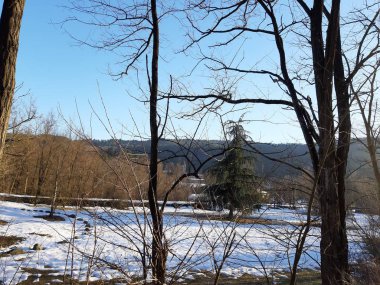 Tiglieto, İtalya - 03/22/2019: güzel mavi arka plan ile bazı güzel çiçekler ve ağaçlar yaprak ve dağlar ve ay küçük görünümüne olmadan kışın köyde son kar.