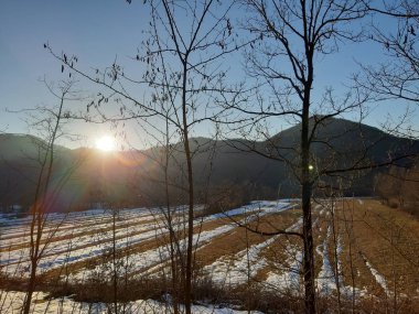 Tiglieto, İtalya - 03/22/2019: güzel mavi arka plan ile bazı güzel çiçekler ve ağaçlar yaprak ve dağlar ve ay küçük görünümüne olmadan kışın köyde son kar.