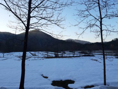 Tiglieto, İtalya - 03/22/2019: güzel mavi arka plan ile bazı güzel çiçekler ve ağaçlar yaprak ve dağlar ve ay küçük görünümüne olmadan kışın köyde son kar.