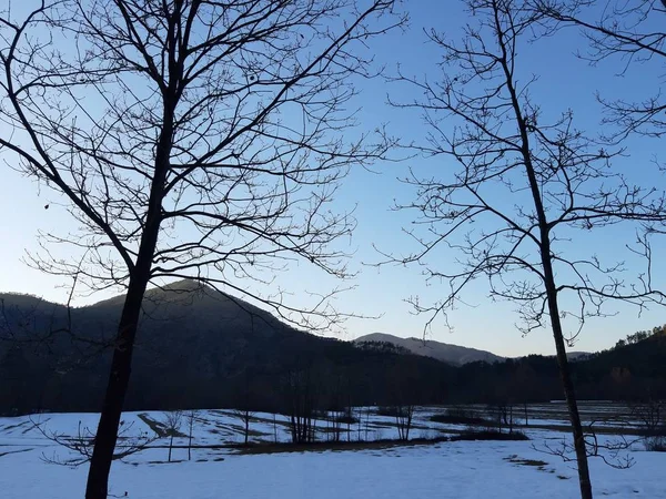 Tiglieto Włochy 2019 Piękne Niebieskie Tło Ostatni Śnieg Miejscowości Zimą — Zdjęcie stockowe