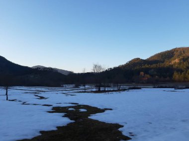 Tiglieto, İtalya - 03/22/2019: güzel mavi arka plan ile bazı güzel çiçekler ve ağaçlar yaprak ve dağlar ve ay küçük görünümüne olmadan kışın köyde son kar.