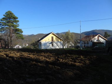 Liguria, İtalya 03/29/2019: kiraz ağacı ve köyün ilk amzing bahar çiçekleri ve arka planda inanılmaz bir mavi gökyüzü ile diğer farklı meyve bitkiler güzel resim yazısı. 