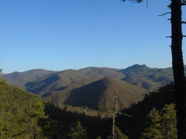 Liguria, İtalya 03/29/2019: kiraz ağacı ve köyün ilk amzing bahar çiçekleri ve arka planda inanılmaz bir mavi gökyüzü ile diğer farklı meyve bitkiler güzel resim yazısı. 