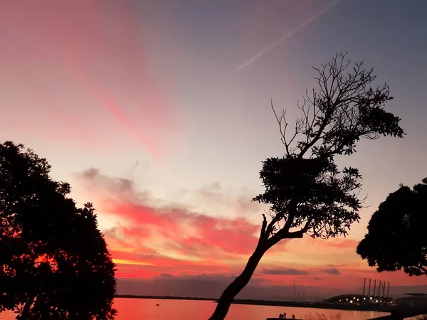 Lüks Beyaz Yatlar Ilgi Çekici Yerler Ile Porto Antico Limanı — Stok fotoğraf