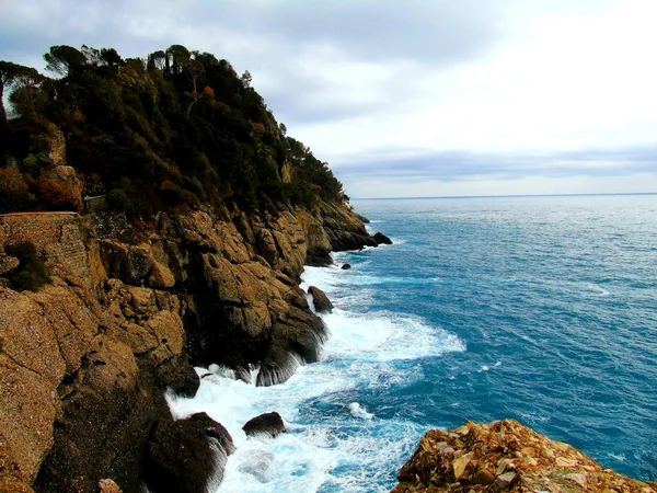 Portofino , İtalya - 02 Mayıs 2019: Küçük koy limanında renkli evler ve villalar, lüks yatlar ve tekneler ile güzel Portofino. Liguria, İtalya, Avrupa