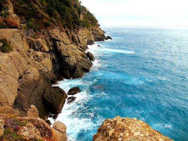 Portofino Italia Mayo 2019 Hermoso Portofino Con Coloridas Casas Villas —  Fotos de Stock