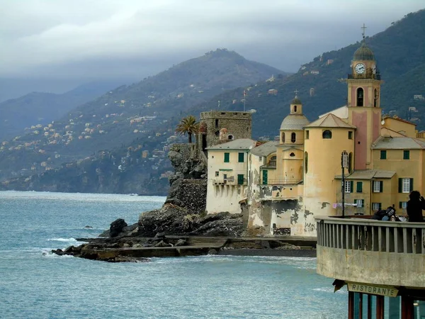 Portofino Itálie Květen 2019 Krásný Portofino Pestrobarevné Domy Vily Luxusní — Stock fotografie