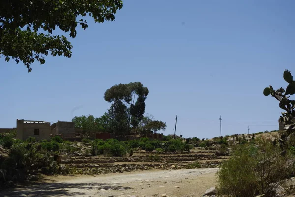 Segheneiti Eritreia 2019 Viajando Pelas Vilas Perto Asmara Massawa Uma — Fotografia de Stock