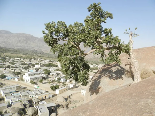 Segheneiti Eritrea 2019 Reizen Rond Vilages Buurt Van Asmara Massawa — Stockfoto