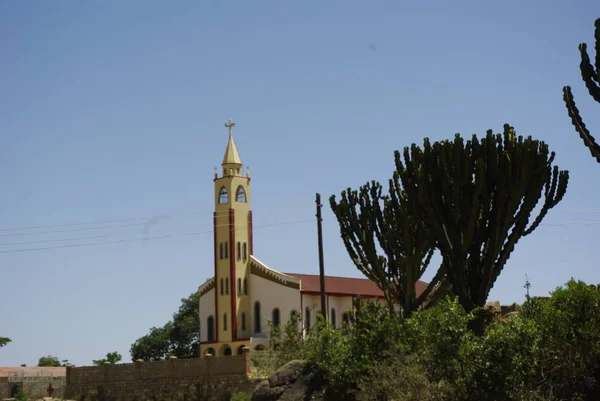 Segheneiti Eritrea 2019 Travelling Vilages Asmara Massawa Amazing Caption Trees — Stock Photo, Image