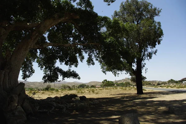Segheneiti, Eritre - 25.04.2019: Asmara ve Massawa yakınlarındaki vilages etrafında seyahat. Ağaçlar, dağlar ve Eritre çok sıcak iklim ile bazı eski tipik evlerin inanılmaz bir başlık.