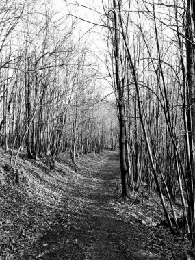 Arka planda büyülü Dolomites dağları, Trentino Alto Adige bölgesinde inanılmaz bulutlar ve mavi gökyüzü ile Doğal alp yer, İtalya, Avrupa