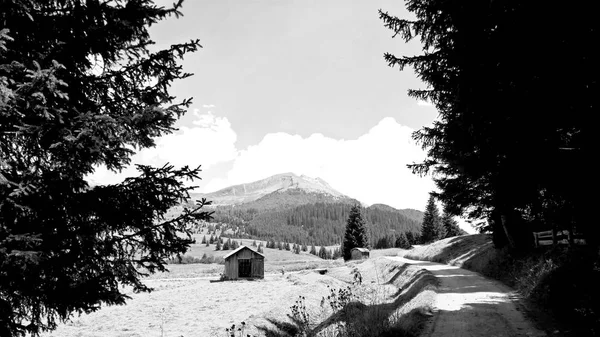 Сценическое Альпийское Место Волшебными Доломитовыми Горами Заднем Плане Удивительными Облаками — стоковое фото