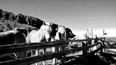 Arka planda büyülü Dolomites dağları, Trentino Alto Adige bölgesinde inanılmaz bulutlar ve mavi gökyüzü ile Doğal alp yer, İtalya, Avrupa