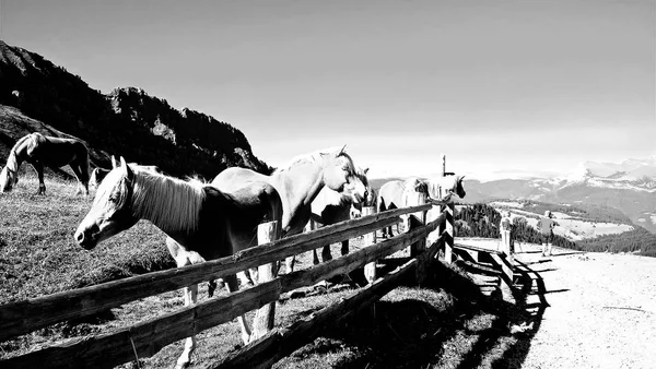 Lugar Escénico Alpino Con Mágicas Montañas Dolomitas Fondo Nubes Increíbles —  Fotos de Stock