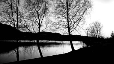 Veneto, İtalya ağaçların su üzerinde güzel yansıması ile küçük bir göl üzerinde yaz günlerinde gün batımı inanılmaz bir başlık.