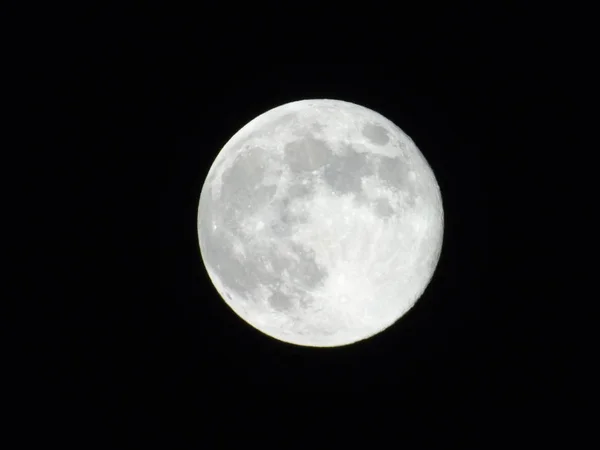 보름달 배경에 — 스톡 사진