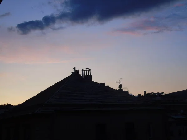 ジェノバ イタリア 2019 高層ビルの屋根の上に鳥の美しいキャプション 夏の日にいくつかの雲と背景に素晴らしいオレンジ色の夕日 — ストック写真