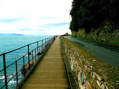 Güzel koyu renkli evlerin Portofino, Liguria, İtalya