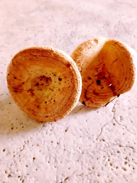 Frische Champignon Pilze Isoliert Auf Weißem Hintergrund Sommertag Aus Dem — Stockfoto