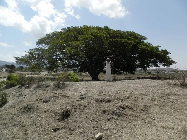 Eritrea Afrika 2019 Cestování Vesnicích Blízkosti Měst Asmara Massawa Úžasný — Stock fotografie