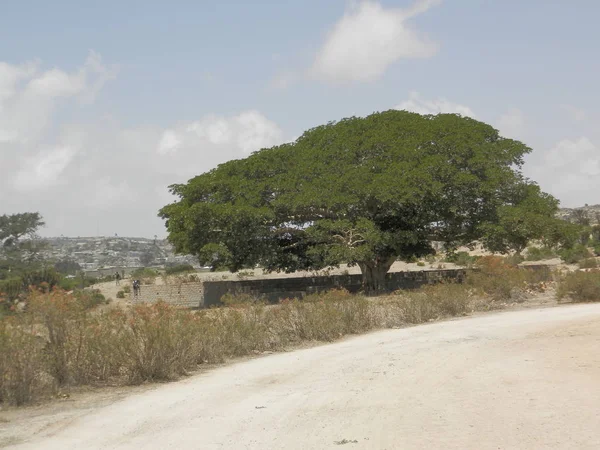 Eritrea Afrika 2019 Cestování Vesnicích Blízkosti Měst Asmara Massawa Úžasný — Stock fotografie