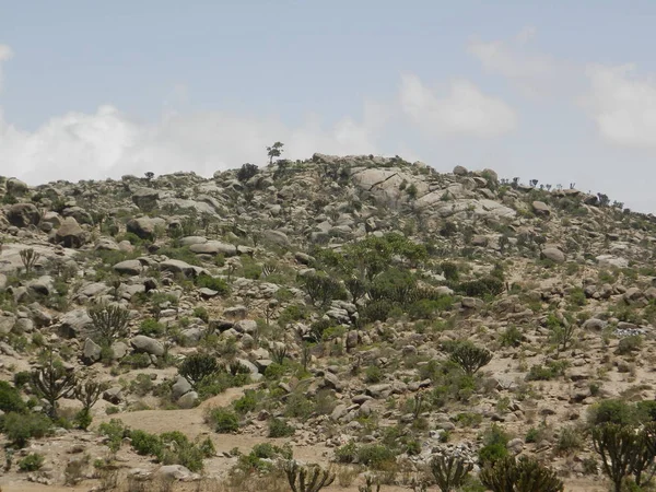 Eritrea África 2019 Viajando Por Los Pueblos Cercanos Asmara Massawa — Foto de Stock