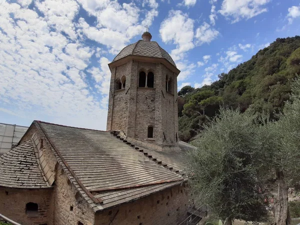 Portofino, İtalya - 29.08.2019: Sümer günlerinde Portofino'da renkli evler emdirilen güzel koy. Ligurian dağları etrafında yürüyüş.
