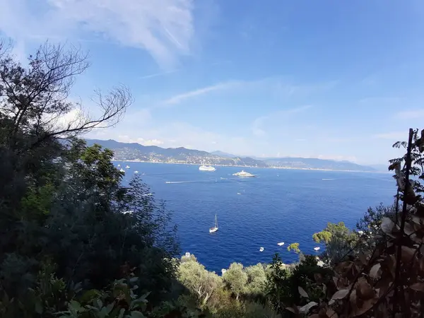 Portofino Italia 2019 Hermosa Bahía Con Casas Coloridas Portofino Los — Foto de Stock