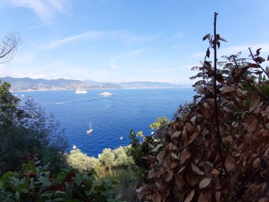 Portofino, İtalya - 29.08.2019: Sümer günlerinde Portofino'da renkli evler emdirilen güzel koy. Muhteşem panoramik manzarasıile ligurian dağlarıetrafında yürüyüş.