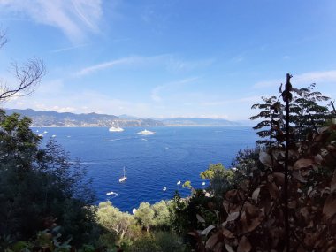 Portofino, İtalya - 29.08.2019: Sümer günlerinde Portofino'da renkli evler emdirilen güzel koy. Muhteşem panoramik manzarasıile ligurian dağlarıetrafında yürüyüş.
